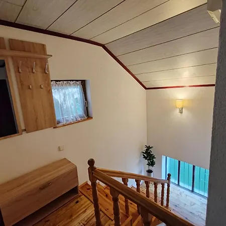 Feriehus Vlasinsko Jezero Biliv
