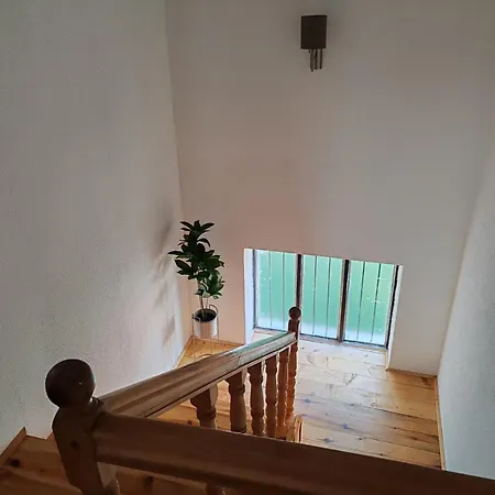 Vlasinsko Jezero Biliv Feriehus Surdulica
