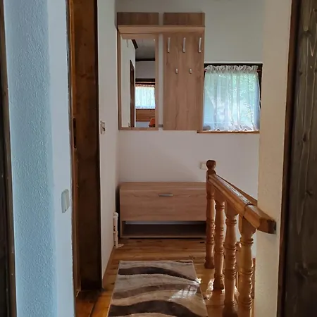 Vlasinsko Jezero Biliv *