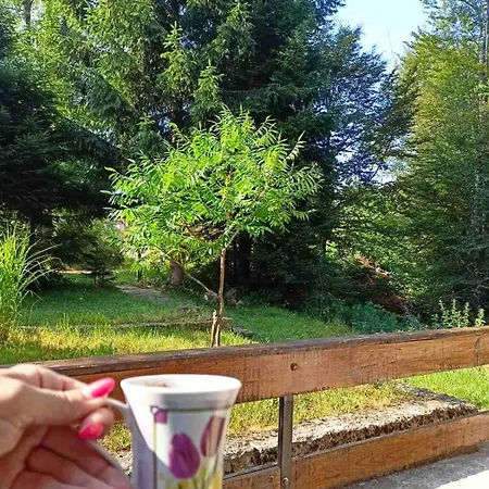 Prázdninový dům Vlasinsko Jezero Biliv Surdulica