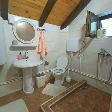 Vlasinsko Jezero Biliv *