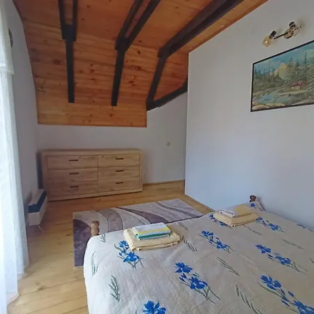 Prázdninový dům Vlasinsko Jezero Biliv *