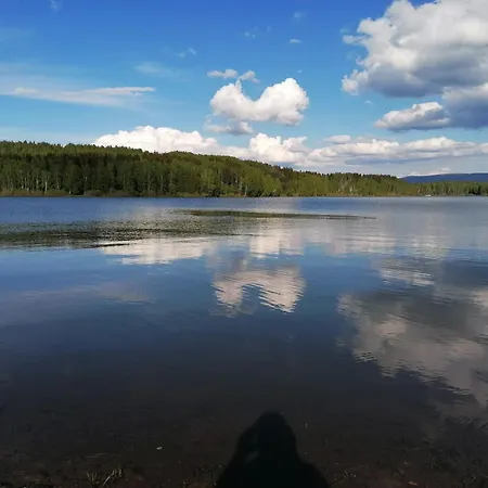 Vlasinsko Jezero Biliv Prázdninový dům