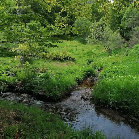 Prázdninový dům Vlasinsko Jezero Biliv *