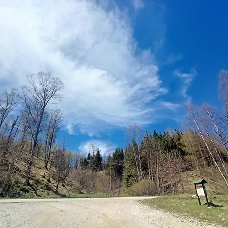 Vlasinsko Jezero Biliv Surdulica