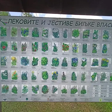 Vlasinsko Jezero Biliv