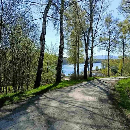 度假居 Vlasinsko Jezero Biliv Surdulica