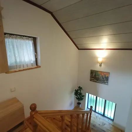 Prázdninový dům Vlasinsko Jezero Biliv *