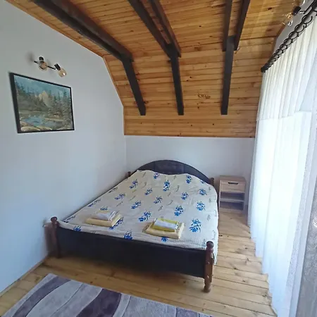 Vlasinsko Jezero Biliv *