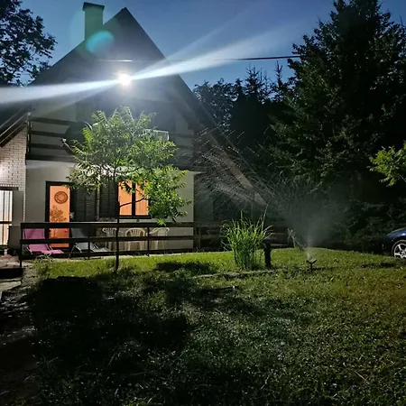 Vlasinsko Jezero Biliv *