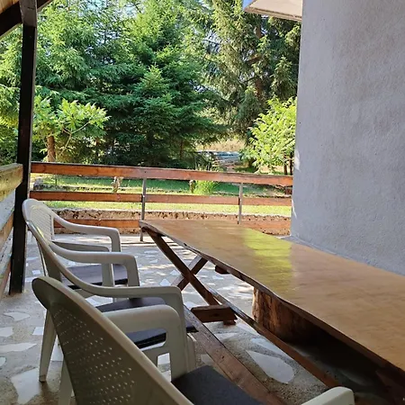 Vlasinsko Jezero Biliv